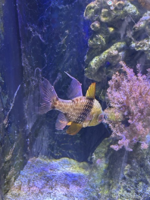 IMG_4699 Medium.jpeg