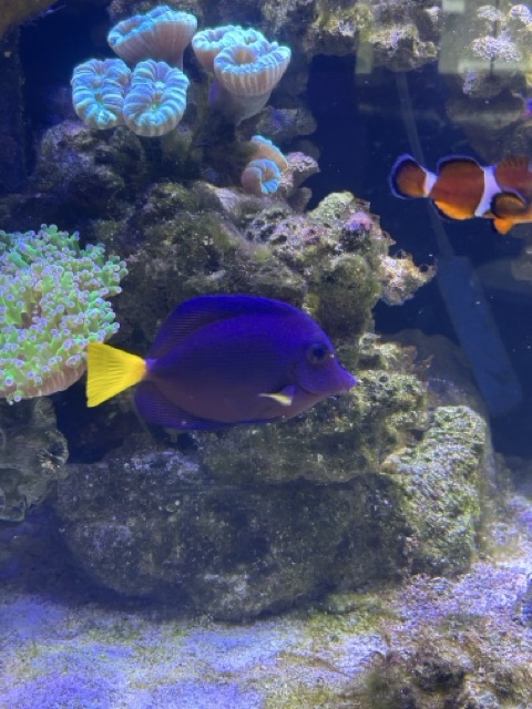 IMG_4701 Medium.jpeg