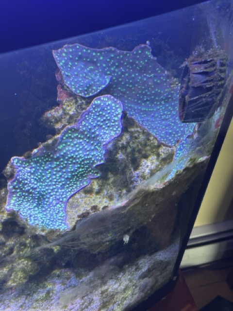 IMG_4704 Medium.jpeg