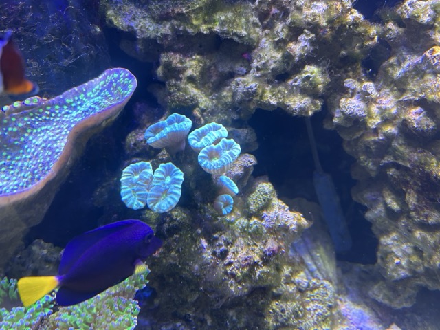 IMG_4710 Medium.jpeg