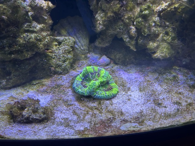 IMG_4713 Medium.jpeg