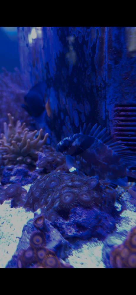 IMG_5166.png