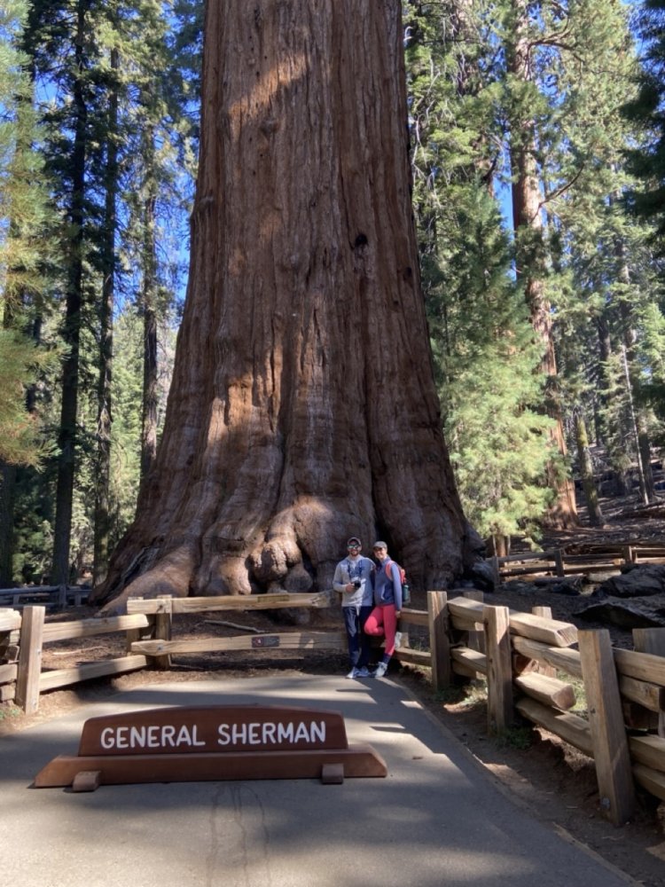 IMG_8669 copy Large.jpeg