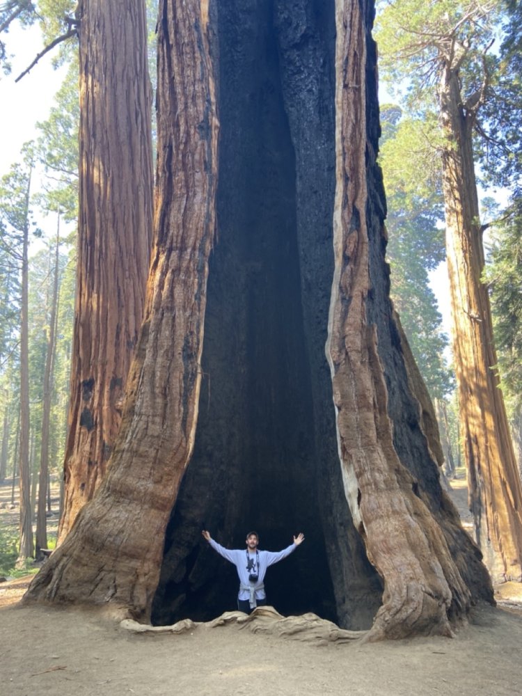 IMG_8682 copy Large.jpeg