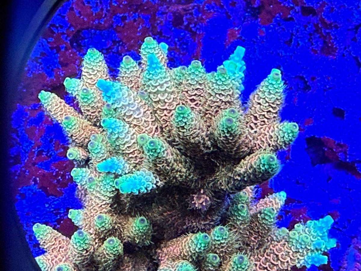 IMG_9904.jpeg