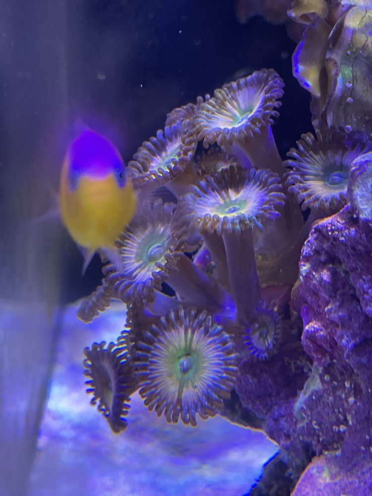 Jolene Photobomb.jpeg