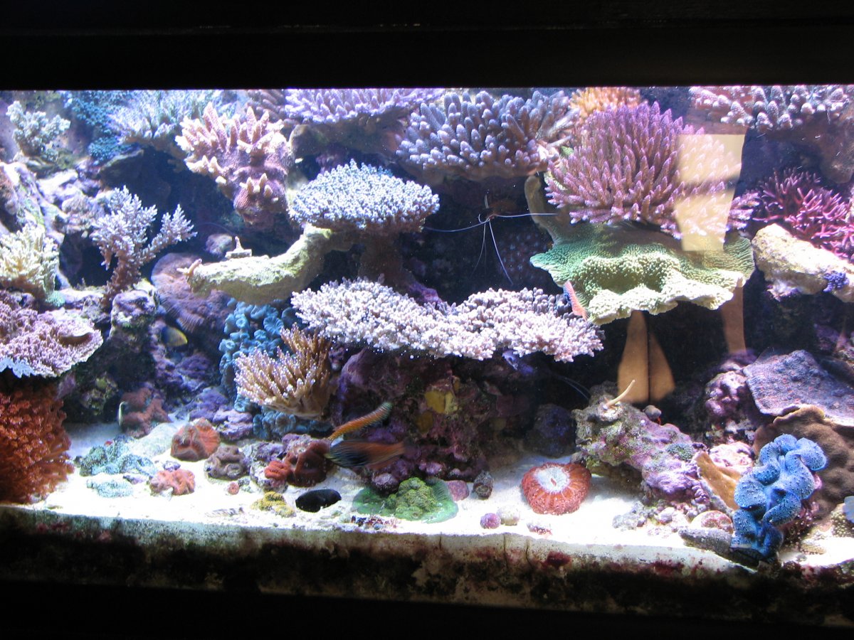 misc 20060131 045.jpg