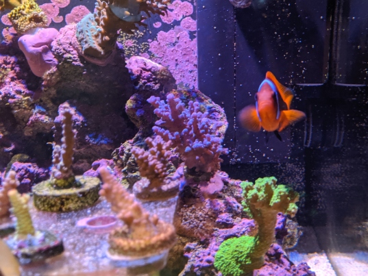 MVIMG_20191005_140922 (1).jpg