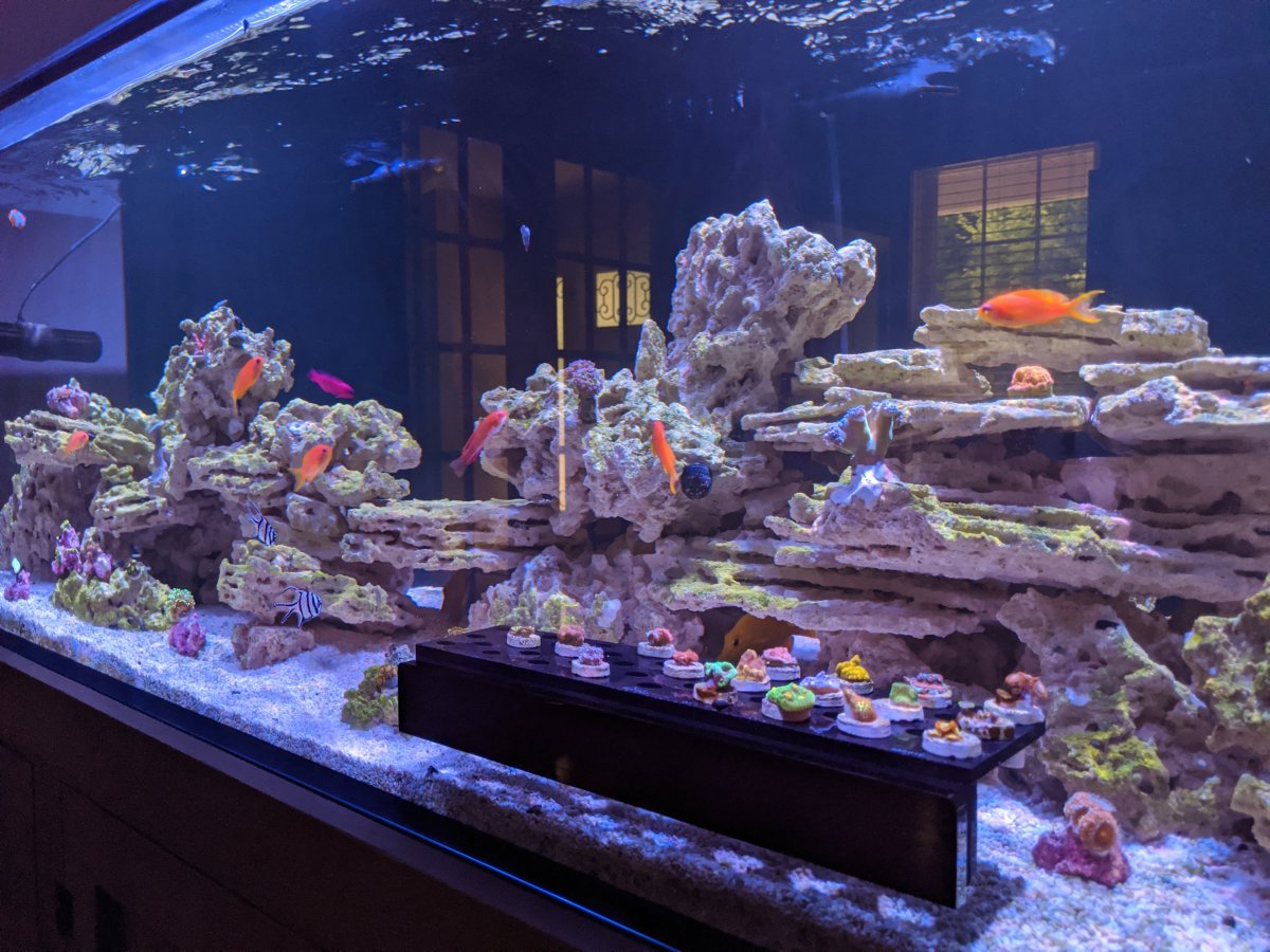 MVIMG_20200707_141914 - Copy.jpg