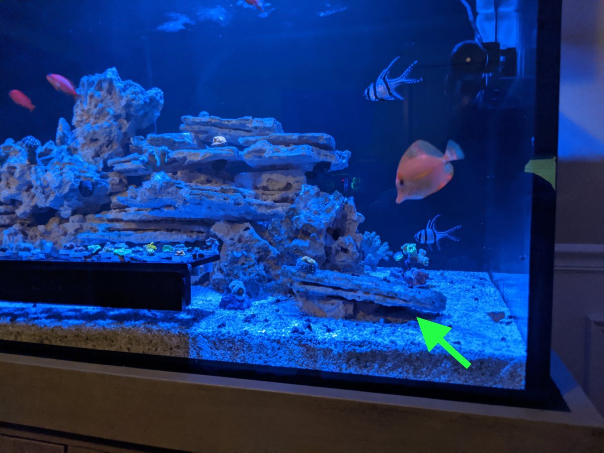 MVIMG_20200707_213002 - Arrow.jpg