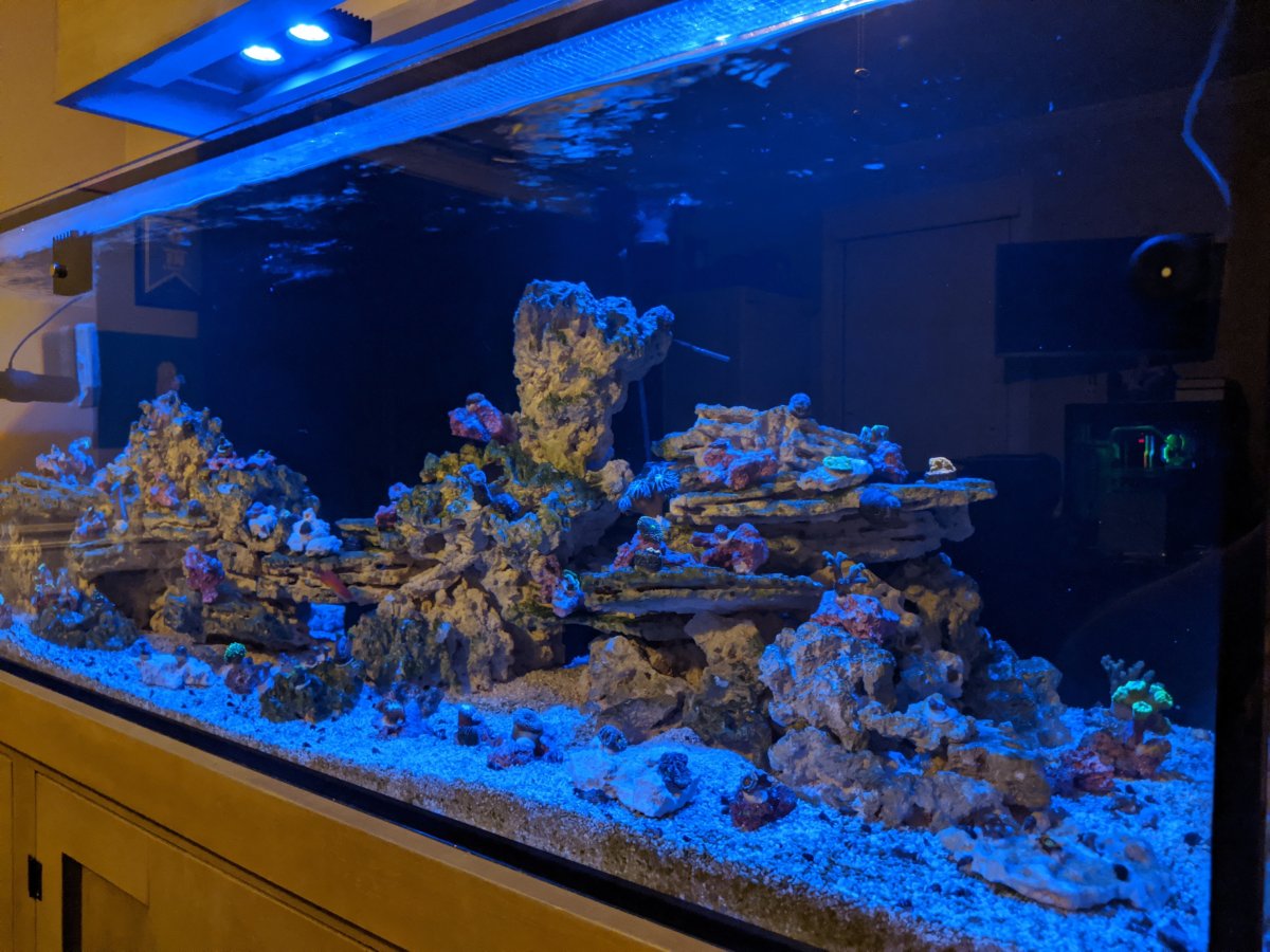 MVIMG_20200806_223553 - Copy.jpg