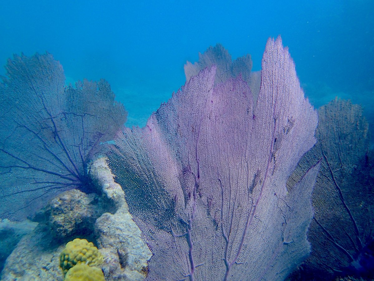 P1070023.JPG