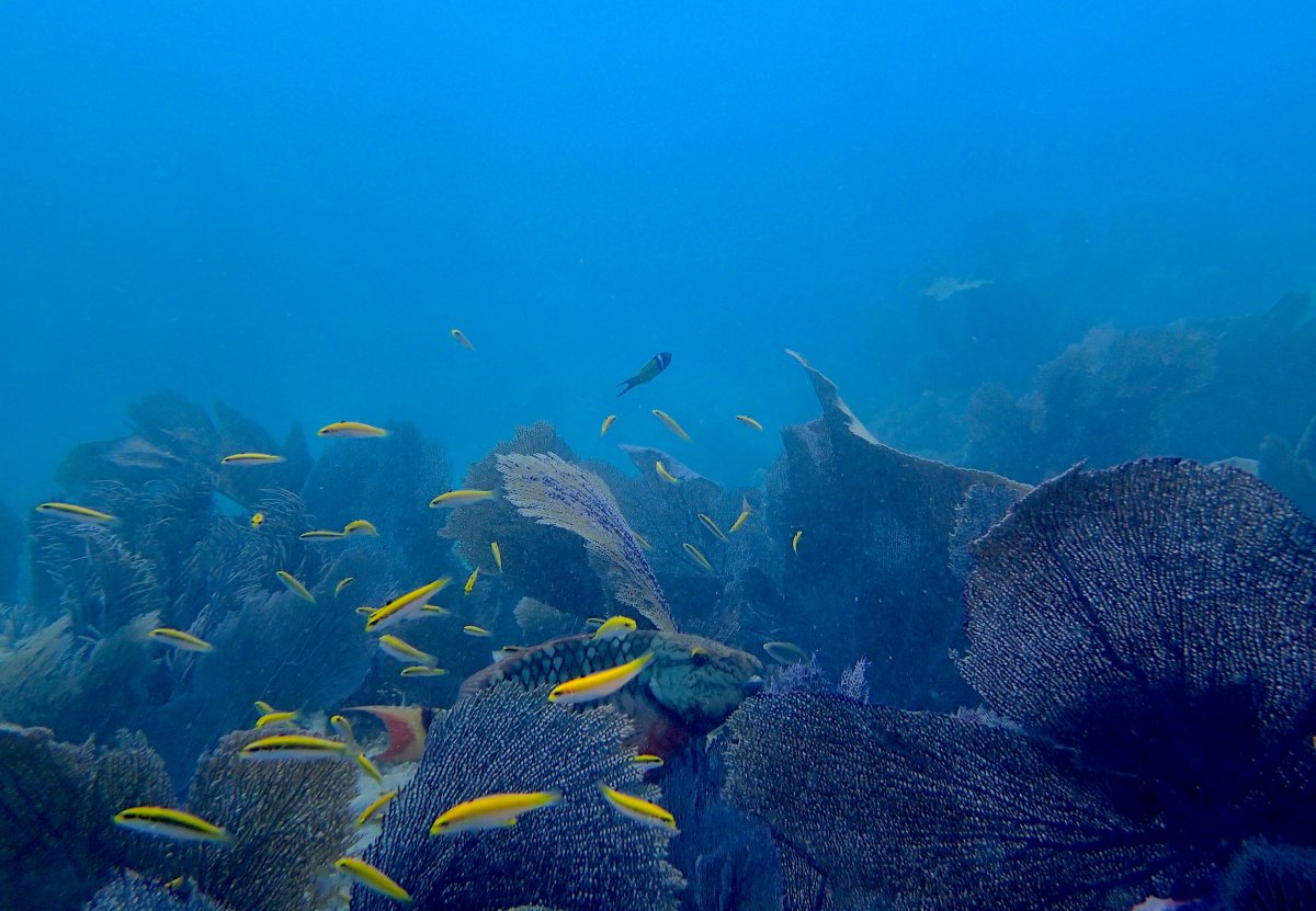 P1070037.JPG