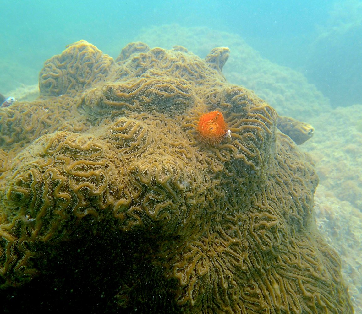 P1070046.JPG