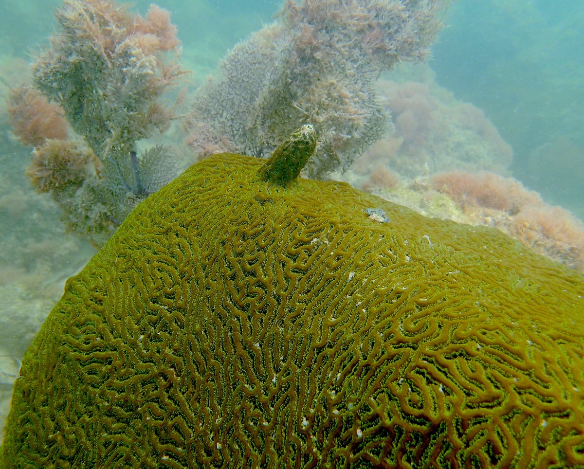 P1070053.JPG
