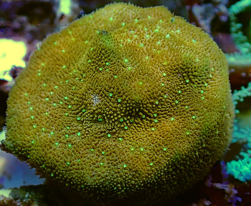 P3230563.JPG