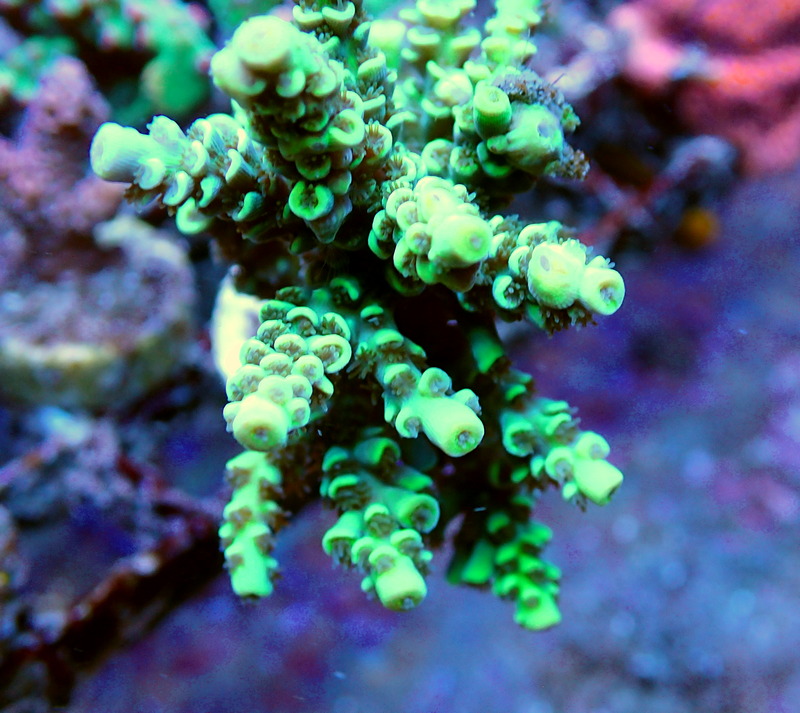 P3230574.JPG