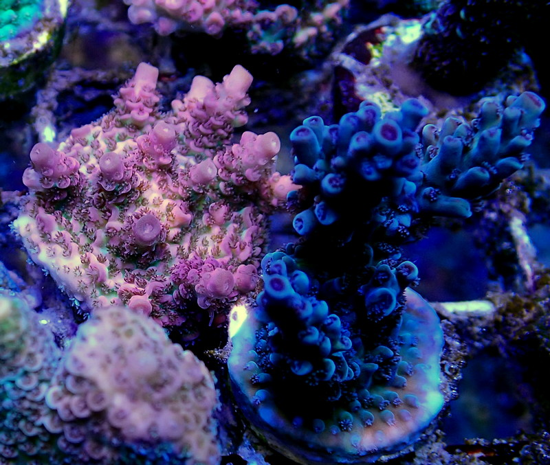 P3230635.JPG