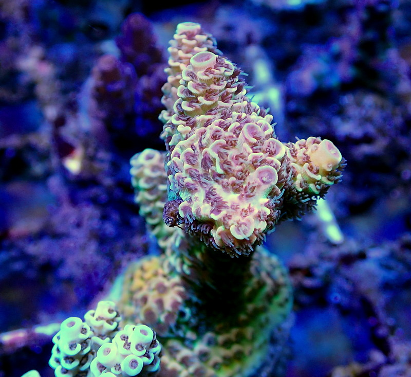 P3230637.JPG