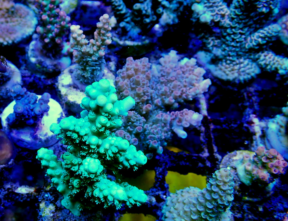 P3230652.JPG