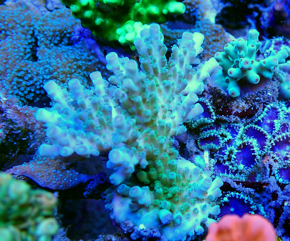 P3230691.JPG
