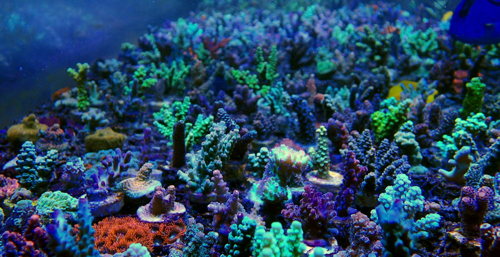 P3230720.JPG