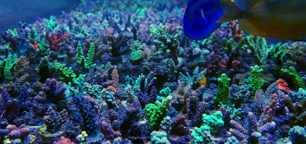 P3230721.JPG