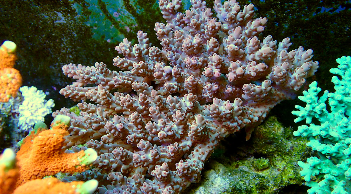 P3230728.JPG