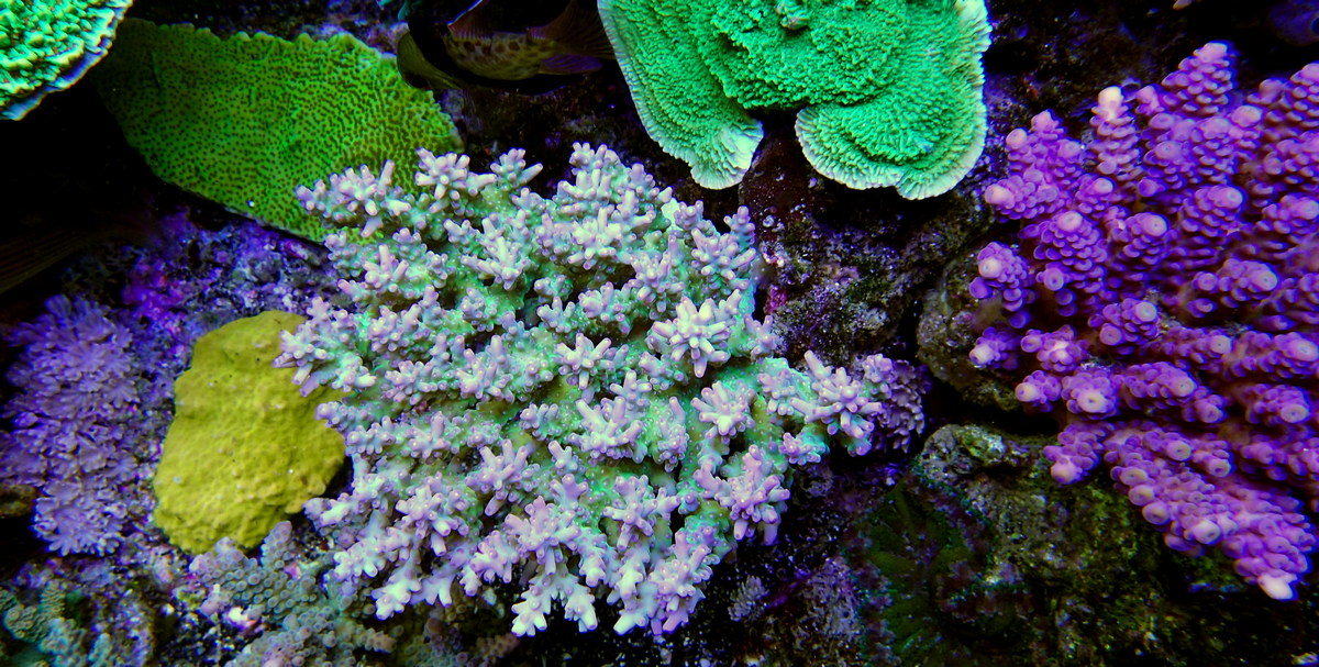 P3230737.JPG