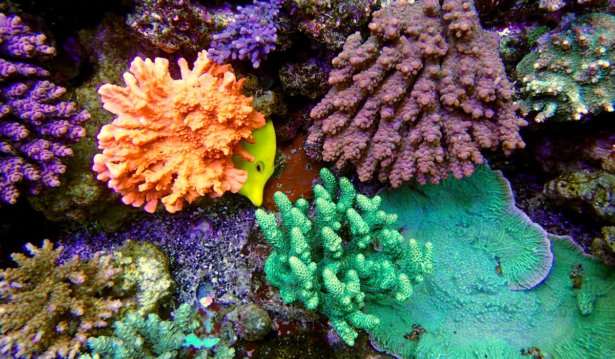 P3230741.JPG