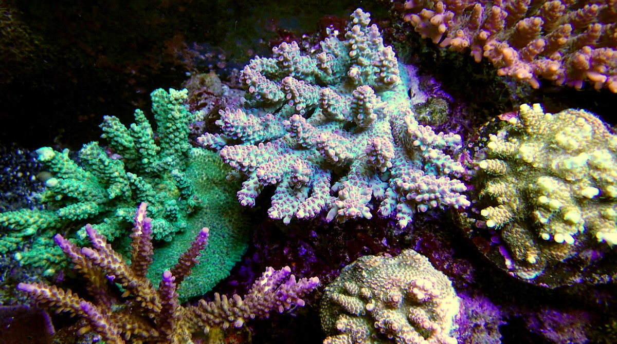 P3230745.JPG