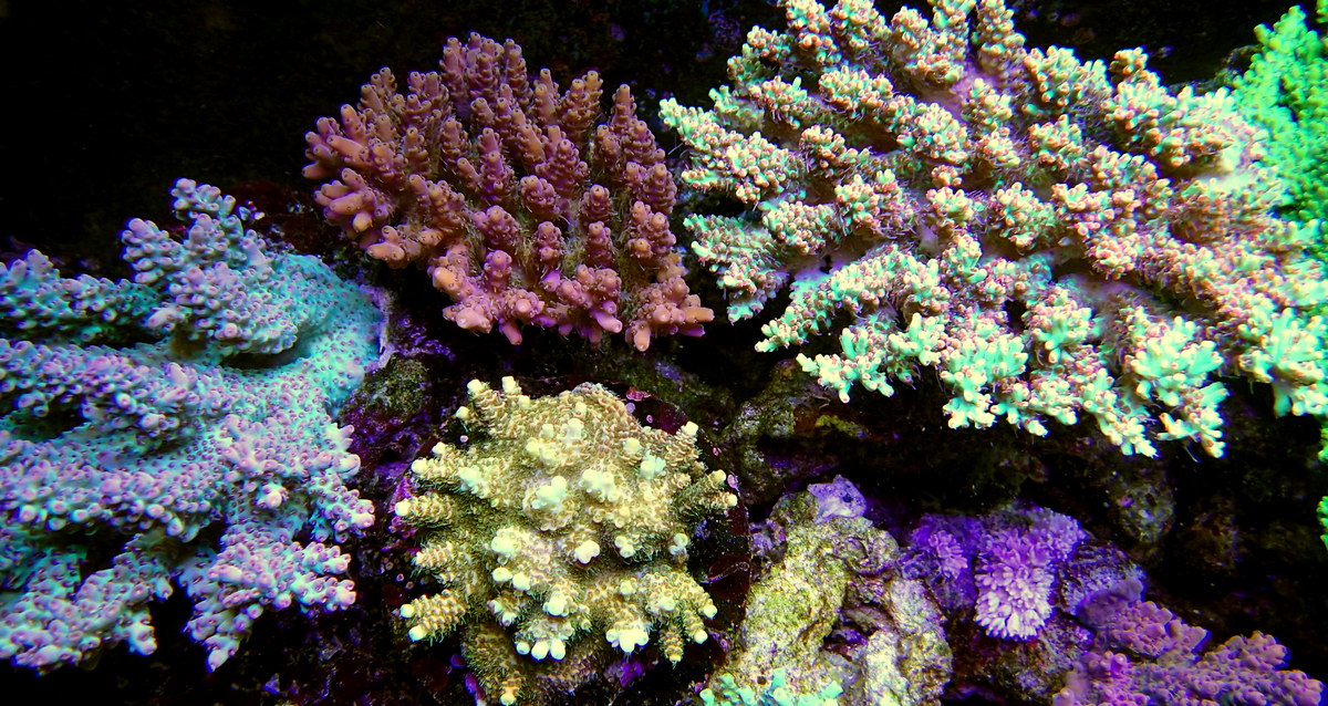 P3230746.JPG