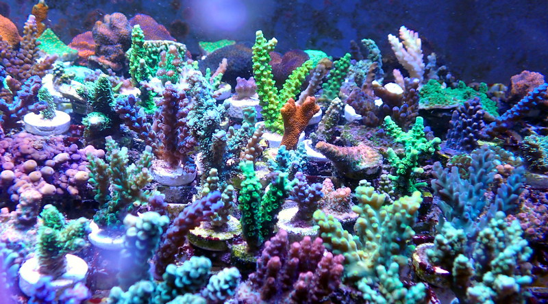 P9200014.JPG