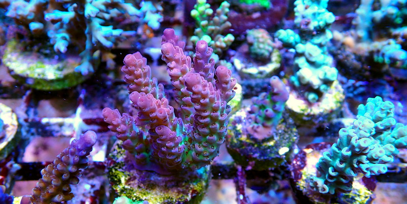 P9200028.JPG
