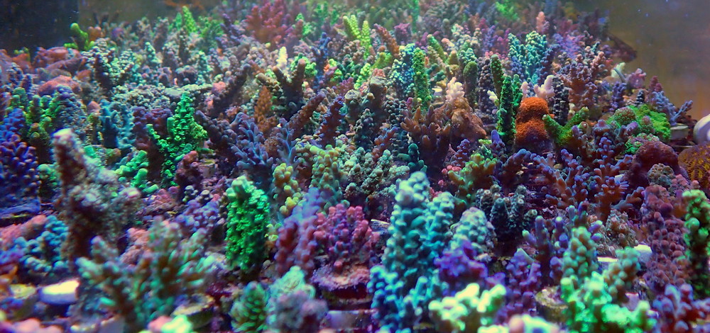P9200043.JPG