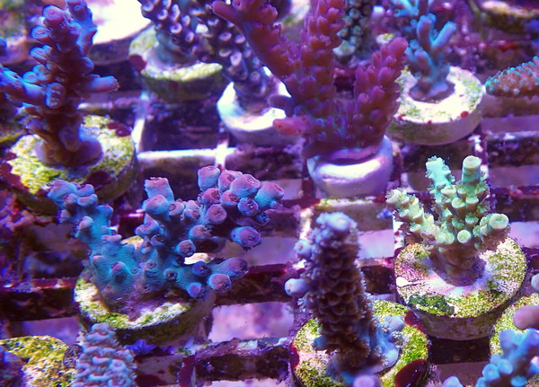 P9200055.JPG
