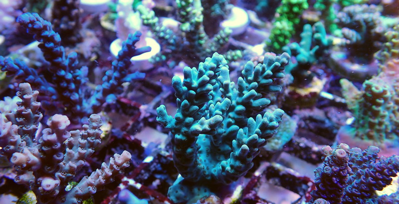 P9200155.JPG