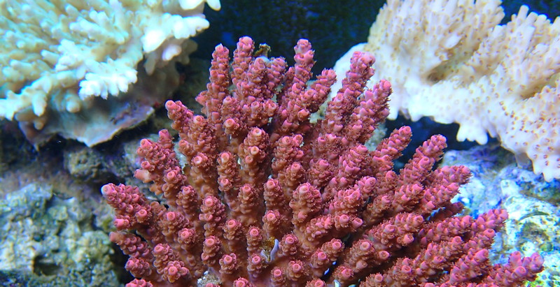 P9200223.JPG