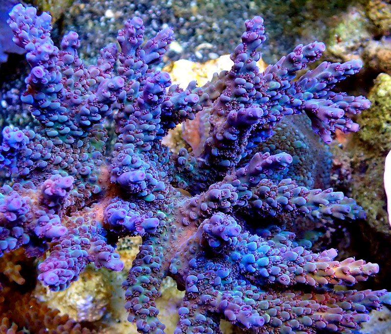 P9200243.JPG