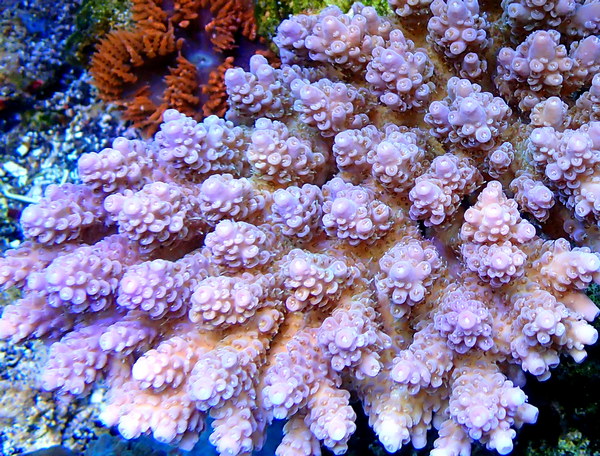P9200247.JPG