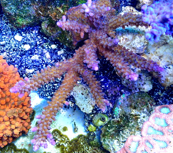 P9200248.JPG