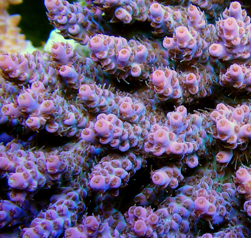 P9200253.JPG