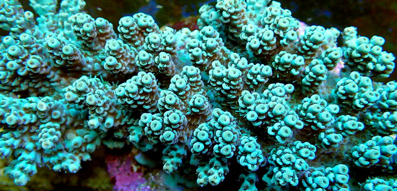 P9200254.JPG