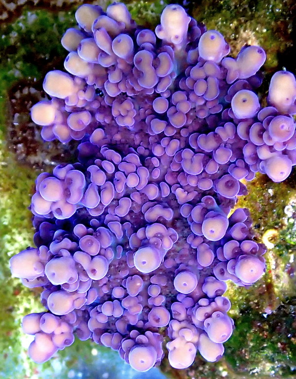 P9200262.JPG