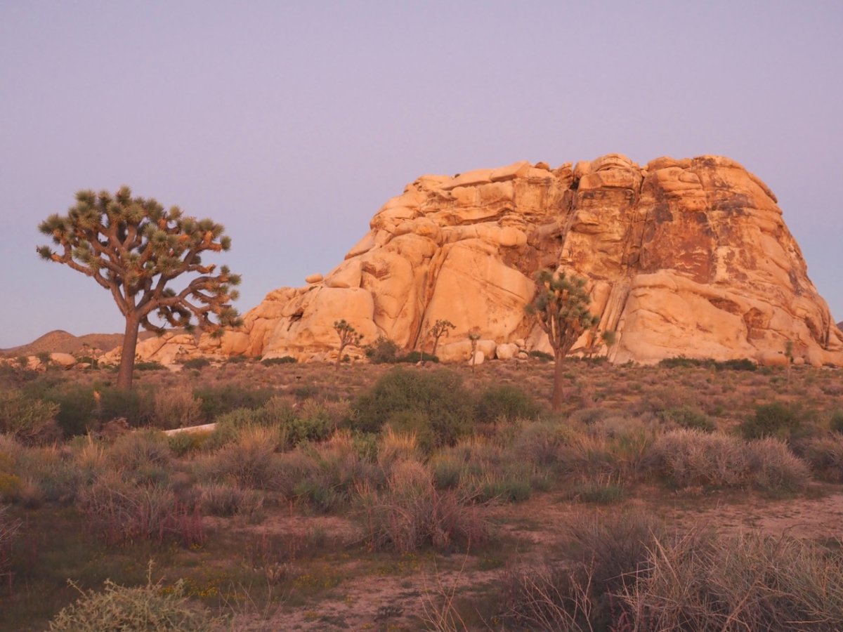 P9230126 copy Large.jpeg