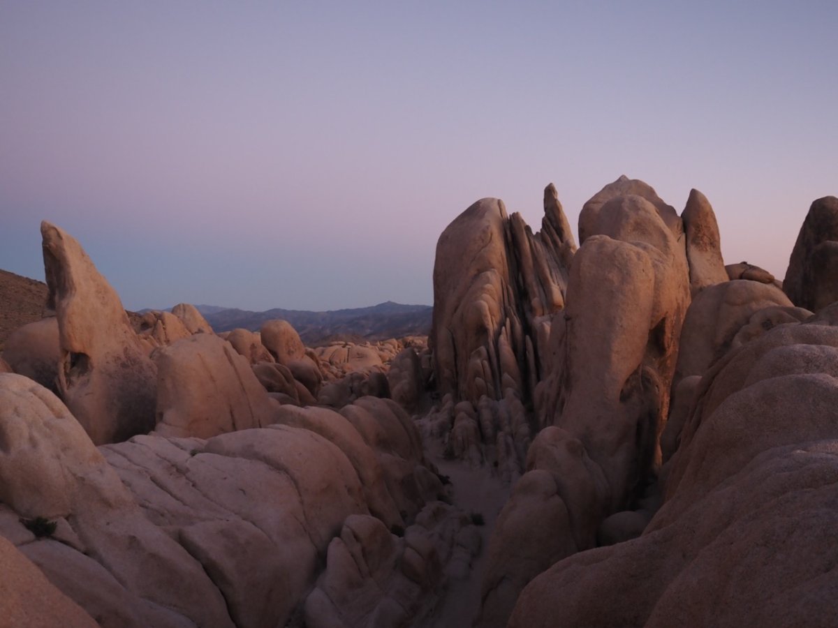 P9240057 copy Large.jpeg