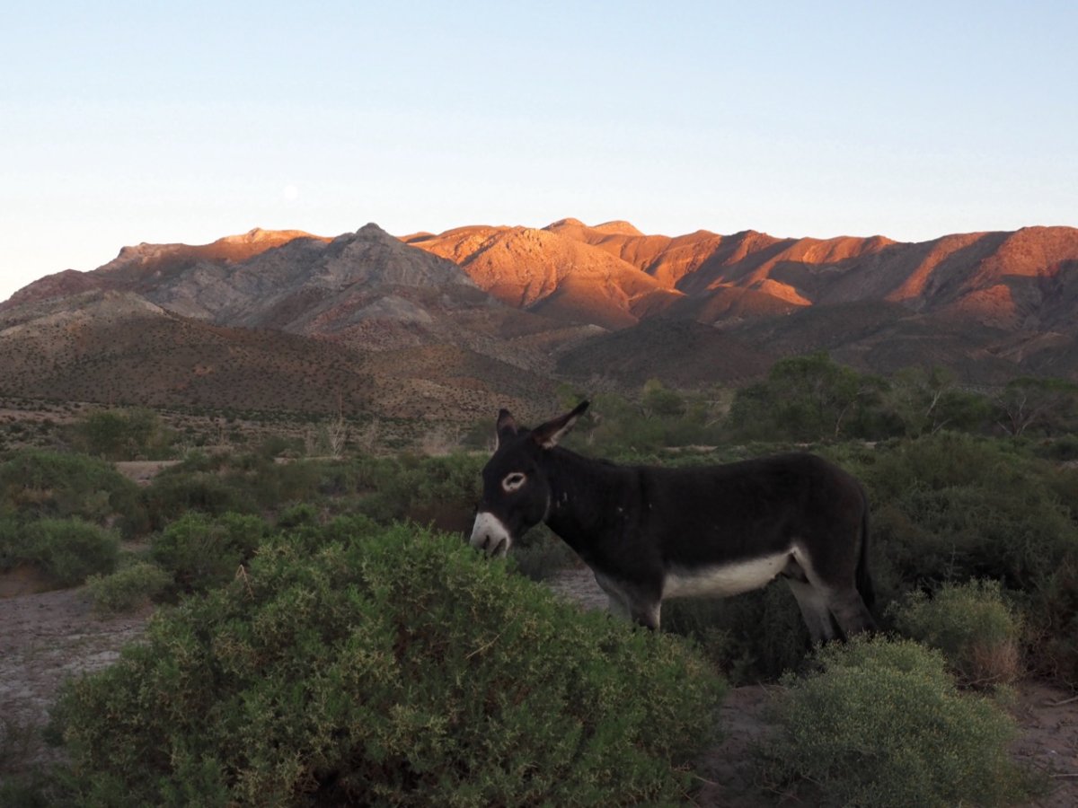 P9260046 copy Large.jpeg