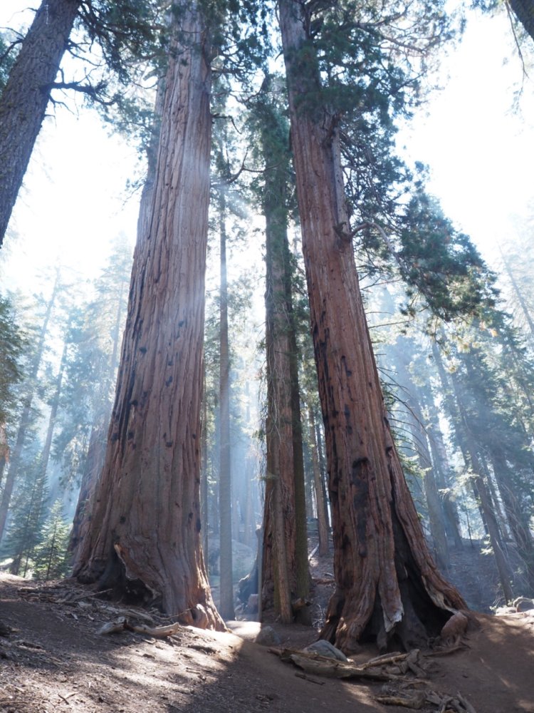 P9280046 copy Large.jpeg