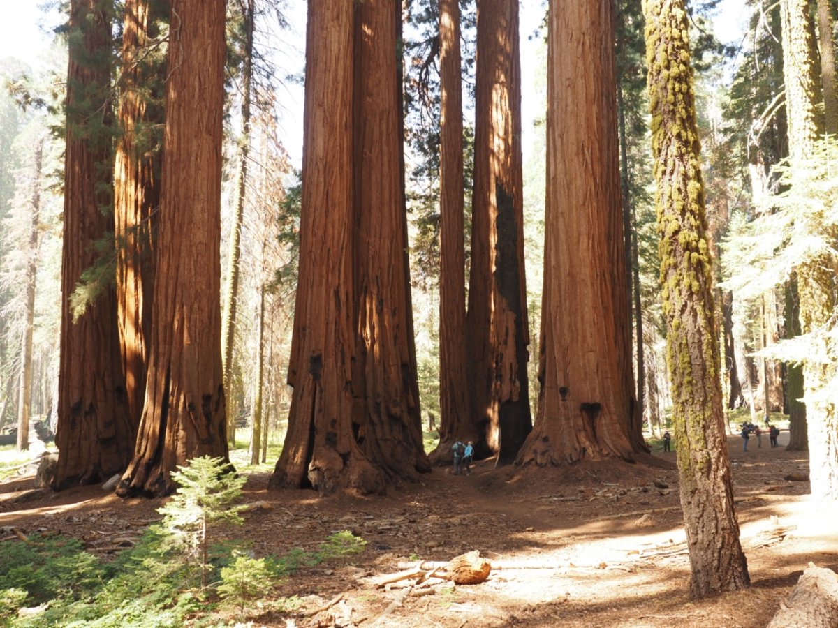 P9280078 copy Large.jpeg