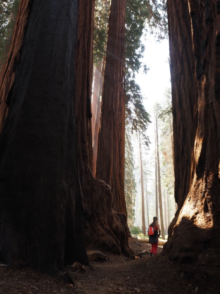 P9280088 copy Large.jpeg